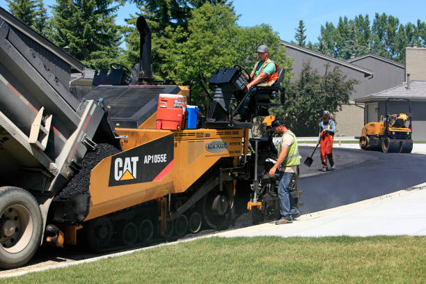Best Driveway Pavers Near Me  in Griggsvle, IL